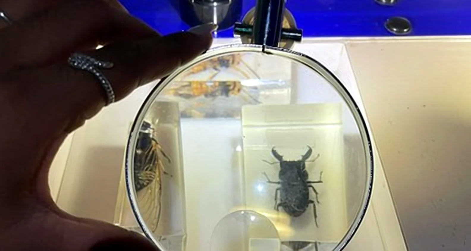 Experiência na sala Ciência da Natureza