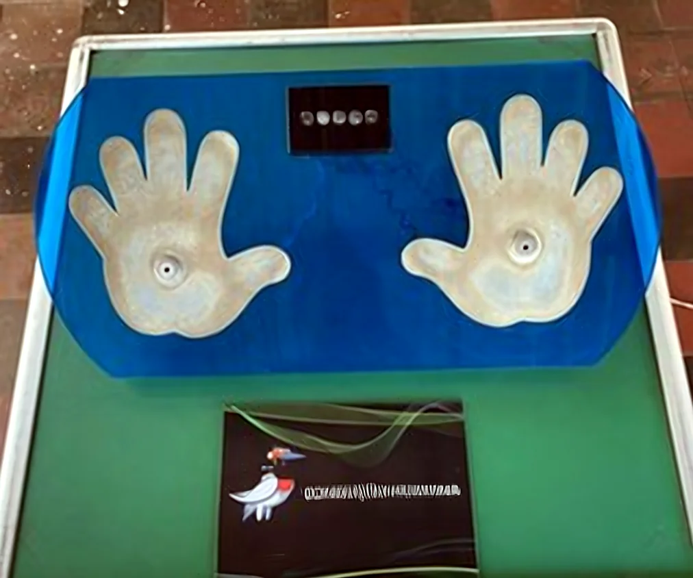 Experimentos ao ar livre no MT Ciências — experiência 3